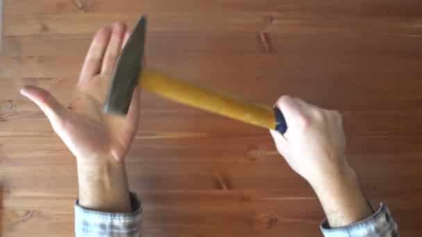 palooo