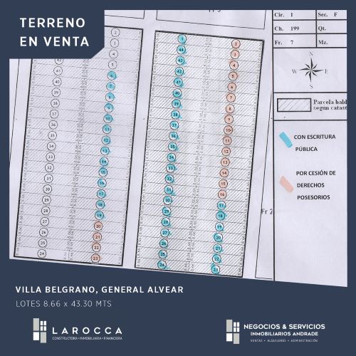 PELUSA 150.000 y 200.000