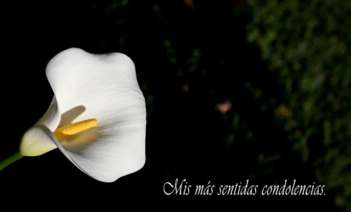 condolencia1