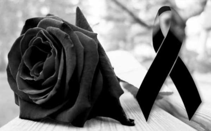 Imagen-11