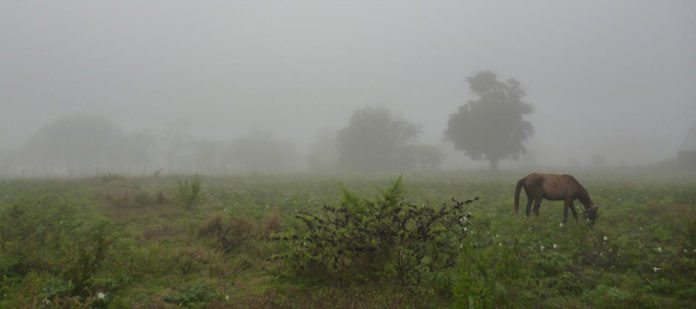 lluvia-campo-960-426-960-22242-1