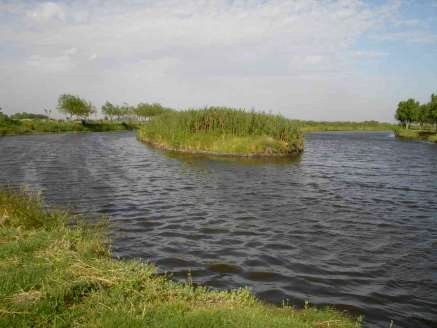 laguna indio-muerto-pezcalandia