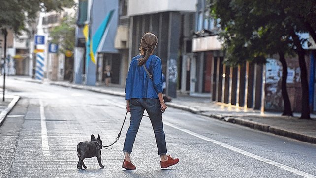 PASEOMASCOTA
