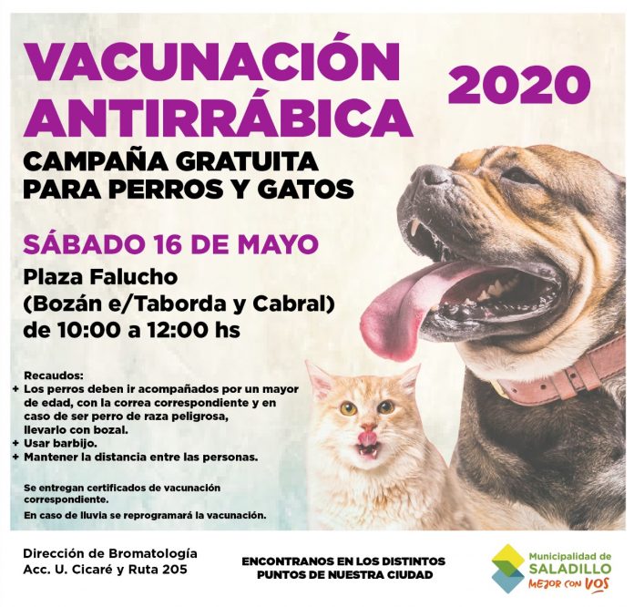 vacunacionantirrabica23-1