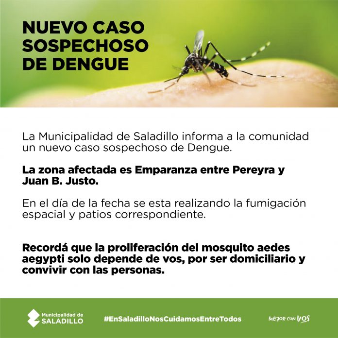 dengue 5-6