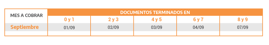 Pensiones no Contributivas