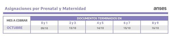 Calendario de pagos de Octubre asignaciones Prenatal y Maternidad