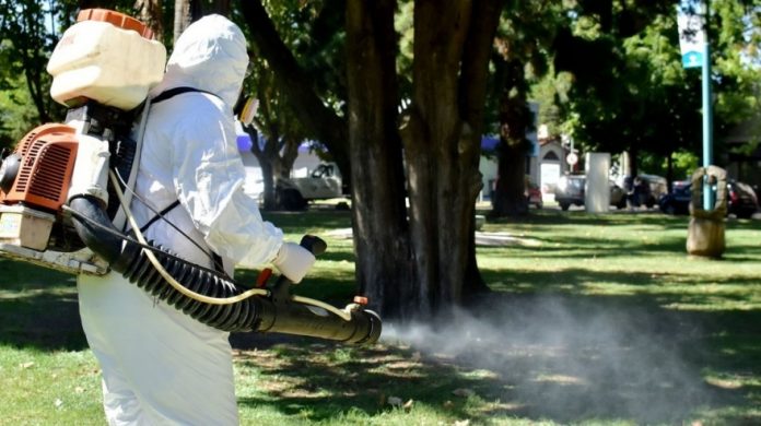 20201029132846_dengue