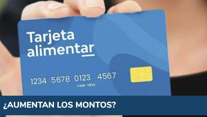 Tarjeta Alimentar: afirman que el Gobierno analiza aumentar los montos