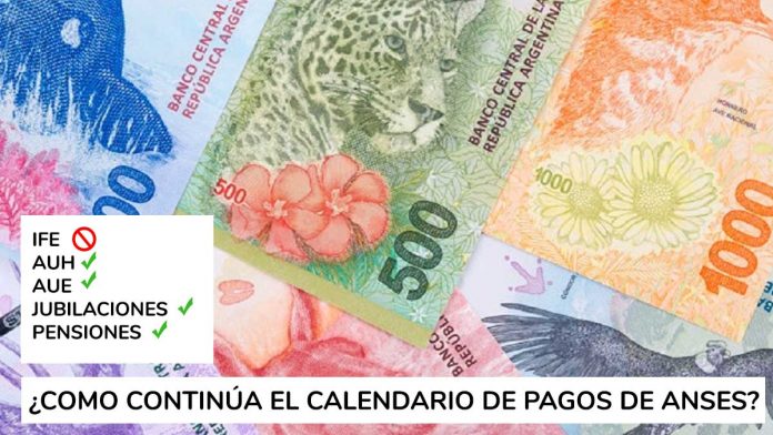 Pagos de Anses de la semana del 16 de Noviembre