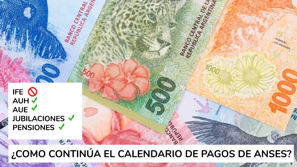 Pagos de Anses de la semana del 16 de Noviembre