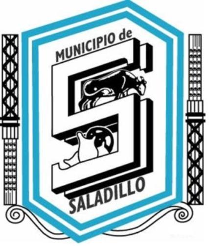 logo-de-saladillo