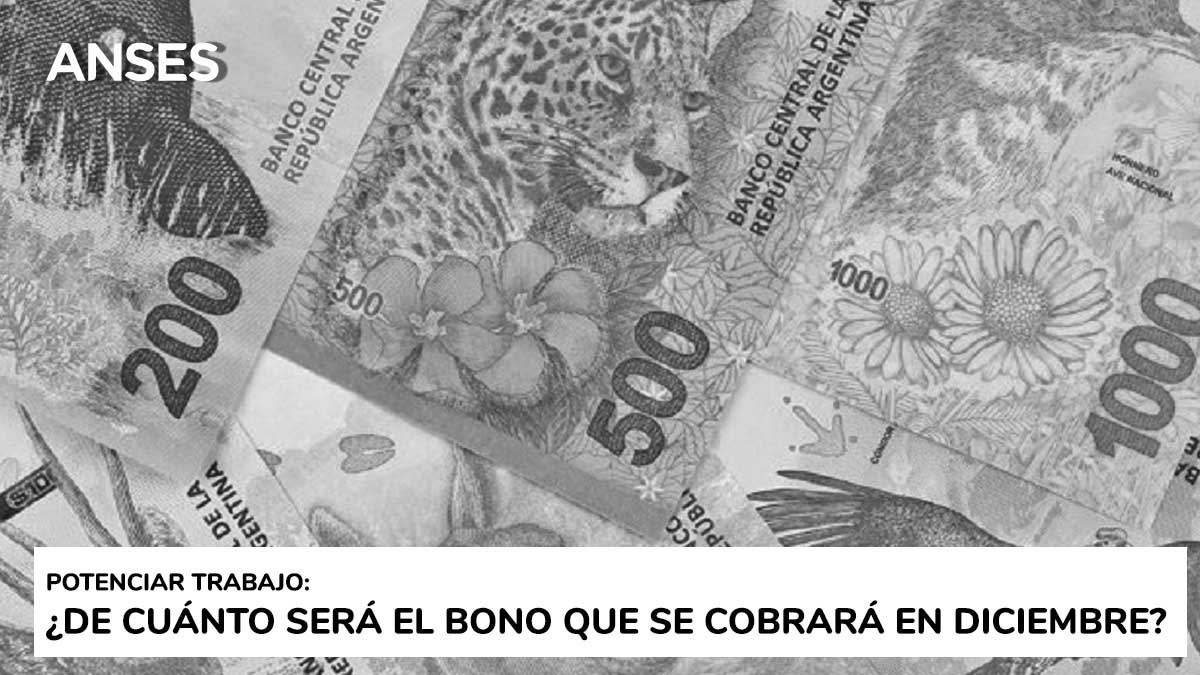 Potenciar Trabajo: de cuánto será el bono que se cobrará en diciembre