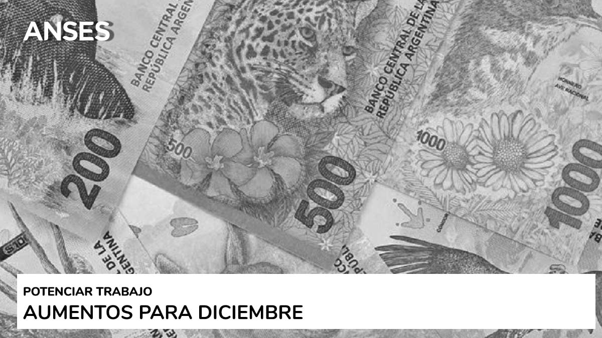 Potenciar Trabajo: de cuánto será el aumento de fin de año