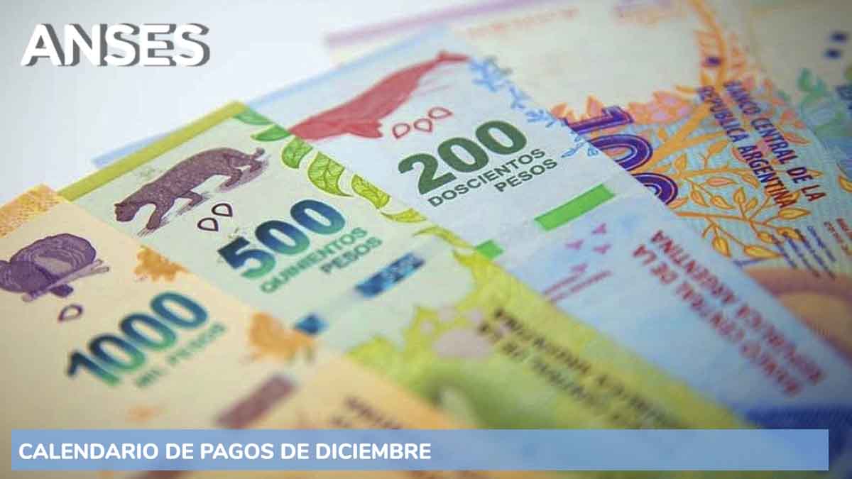 Bono para jubilados y Tarjeta Alimentar doble: quiénes cobran esta semana