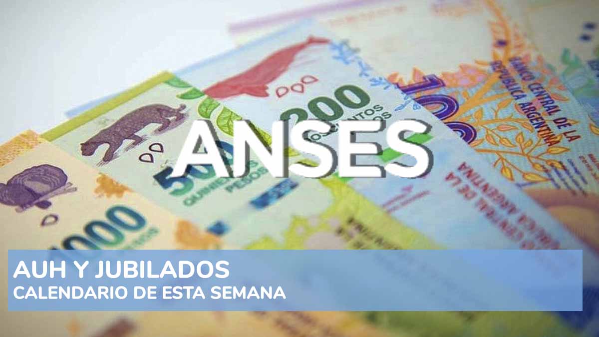 AUH, jubilaciones y medio aguinaldo: quiénes cobran esta semana