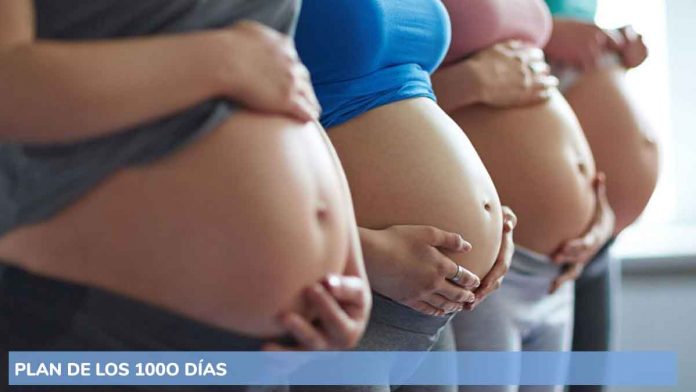 “Plan de los 1000 días”: cómo es el subsidio que amplía la AUE y alcanza a la AUH