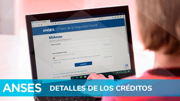 Créditos Anses: de cuánto es el préstamo según la prestación o plan social