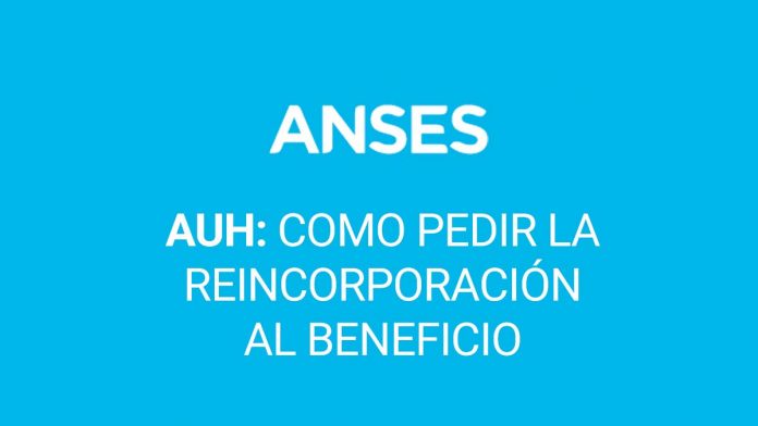 AUH: Como pedir la reincorporación al beneficio