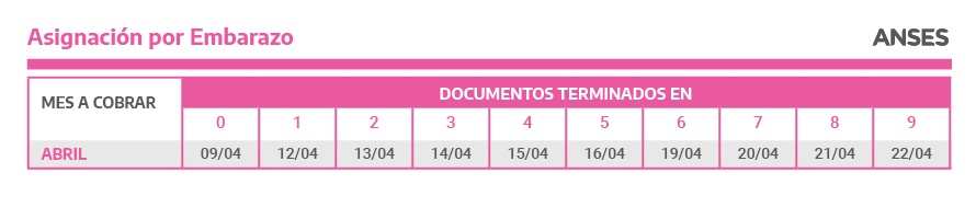 Asignación Universal por Embarazo (AUE)