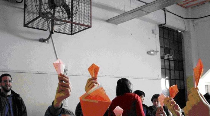Taller de Grullas