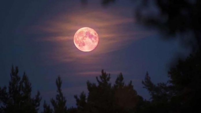 superluna rosa de abri superluna rosa de abri