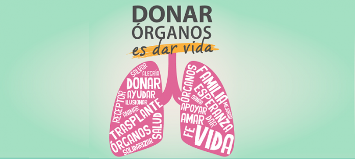 Dia-del-trasplante
