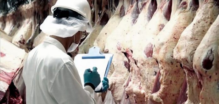 precio-de-la-carne-702x336