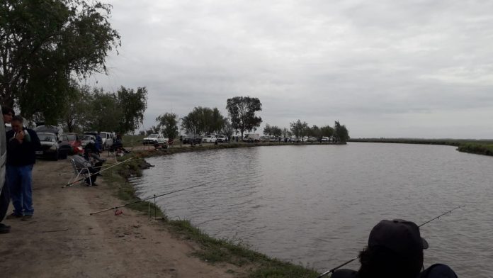 IMG-20211031-WA0061