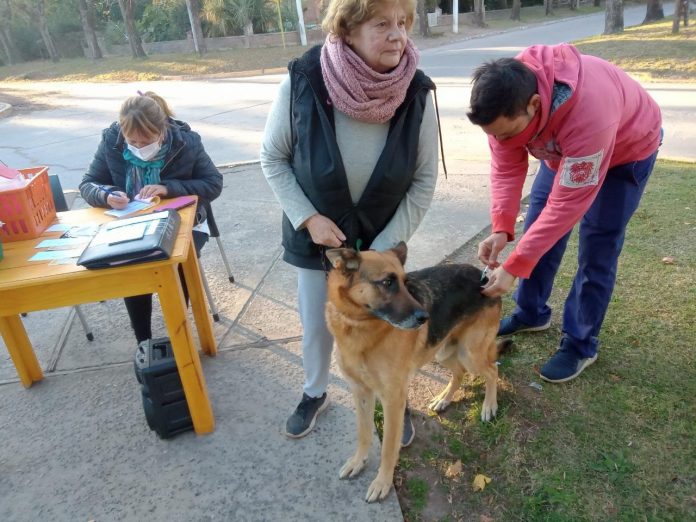 vacunacion1 (1)