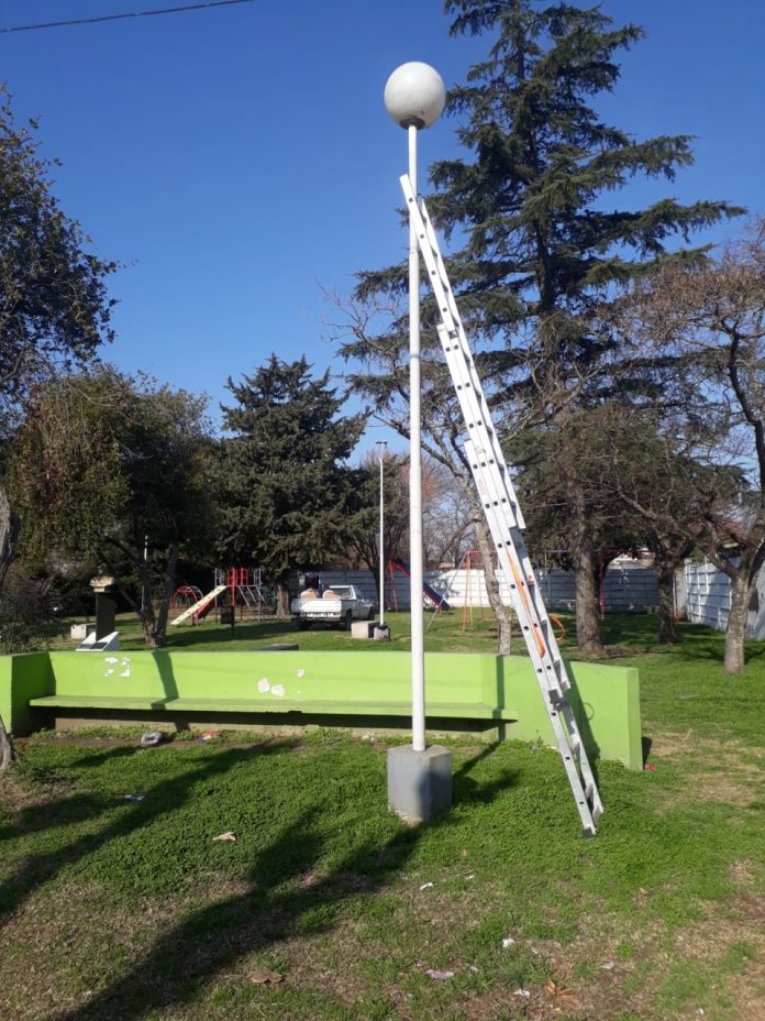 IMG-20220804-WA0008