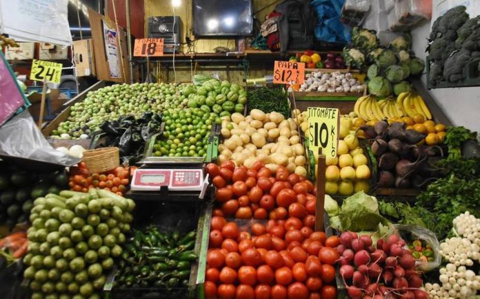 FRUTAS Y VERDURAS JITOMATE PAPA CALABAZA