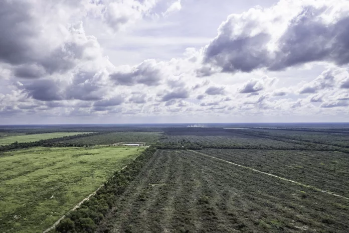 Deforestación en la provincia de Formosa. Marzo 2023