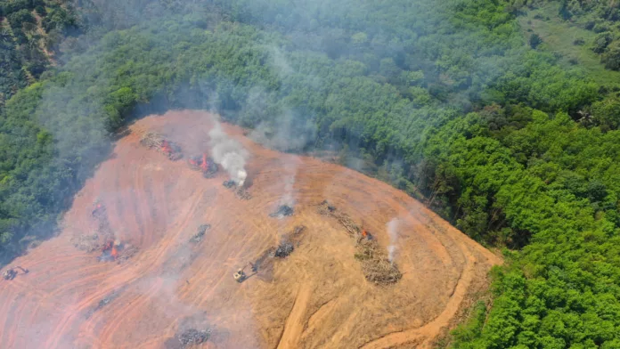 Deforestacion-Amazonas