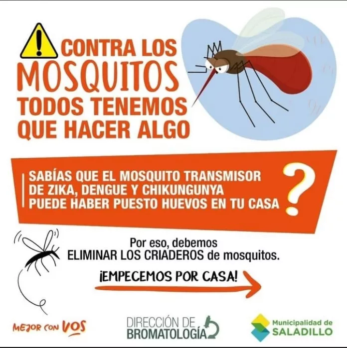 WhatsApp Image 2023-03-28 at 08.26.47