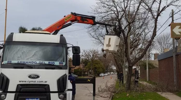 El municipio comenzó con la poda de arboles en la planta urbana