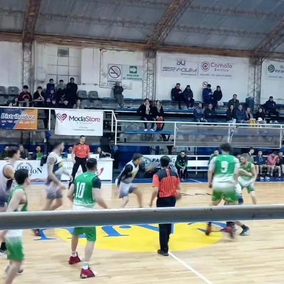 basquet-urso-gimnasia