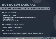 Búsqueda laboral | Personal de limpieza en planta de producción