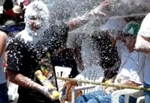 CARNAVAL 2025 EN DEL CARRIL