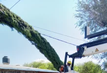 Temporal| Se relevaron 30 domicilios con daños estructurales