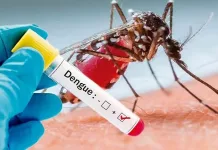 Club Oro Verde || Jornada de Prevención del Dengue para la comunidad