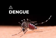 Taller de Dengue en jardines de Saladillo