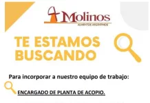 Búsqueda laboral || Encargado de planta y Analista de planificación y control de producción