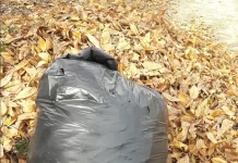 Proyecto «Las hojas no son basura»