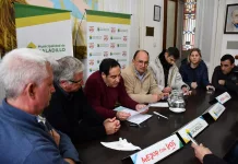 Mantenimiento de semáforos | La firma alumbrar Patagónica  cotizo más de cinco millones de pesos