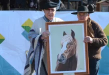 XXX de fiestas patrias en Saladillo: la gente, el caballo y los jinetes le dieron brillo a la fiesta