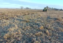 licitación || el municipio licita 8,37 hectáreas para explotación agrícola