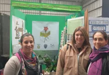 Participación de la ES 2 Manuel Pardal, en la instancia regional de la feria de ciencias y tecnología