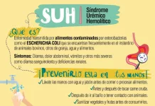 Dia nacional de la lucha contra el SUH | 𝖲𝗂𝗇𝖽𝗋𝗈𝗆𝖾 𝖴𝗋𝖾𝗆𝗂𝖼𝗈 𝖧𝖾𝗆𝗈𝗅𝗂𝗍𝗂𝖼𝗈