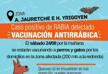 Vacunación Antirrábica | Caso positivo de rabia detectado